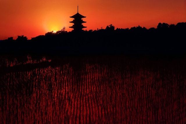 [画像1]岡山県総社市の備中国分寺。 六月には吉備路の田園も稲が植えられ、風景が変わります。 晴れた日の落日は五重塔と田園風景が特に美しい。