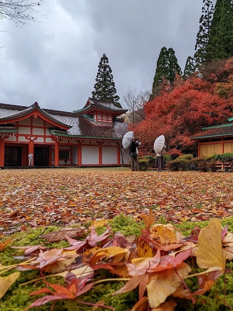 [Image1]When I searched for autumn foliage spots in Kumamoto Prefecture, this place came out as No. 1. Gokes