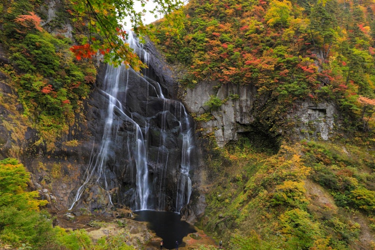 [相片1]它是秋田县北秋田市的安之泷瀑布。 这个瀑布所在的中之谷形成于奥阿尼的最深处约8公里。 安诺泷的落差约为90米，是一个美丽的两阶段瀑布，周围的景色很美，是被选为“日本100个最佳瀑布”第二名的著名瀑布。