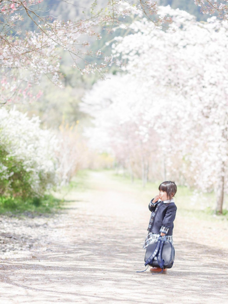 [Image1]Dressed in a slightly larger uniform, a commemorative photo with Sakura. Children don't wait for the