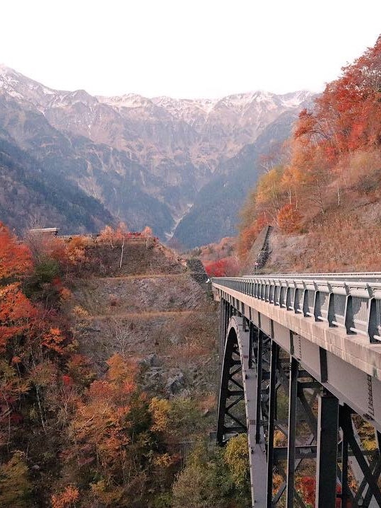 [画像1]岐阜県高山市の奥飛騨にある『北アルプス大橋』の紅葉。