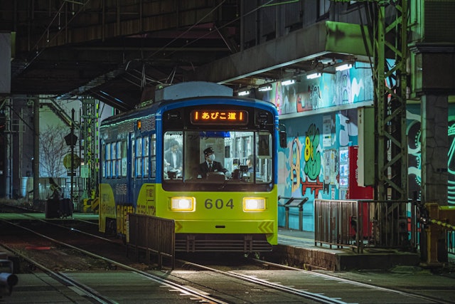 [画像1]大阪南部地域を走る阪堺電車。大阪市の桜の名所である住吉大社を経由する路線です。