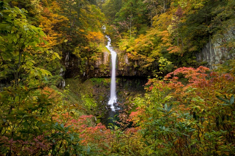 [Image1]It is Sorino Falls in Hachimantai in Iwate Prefecture. Hachimantai is a 1,614 m high mountain and su