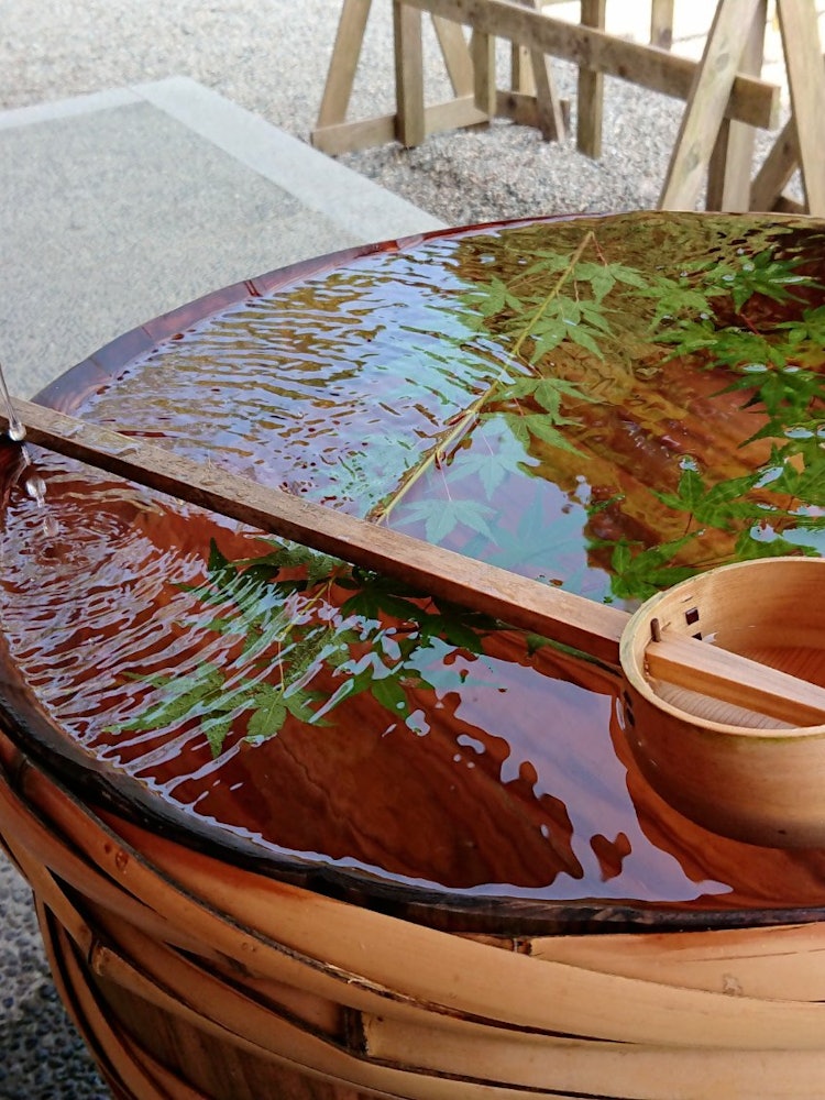 [画像1]富山県の射水神社で夏に初めて「水おみくじ」が出た時。暑い日だったけど、涼しげだったな～😊