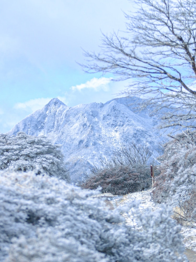 [画像1]大分県別府市の鶴見岳に登った時に目の前に広まった雪景色です！思わずシャッターを切りました！