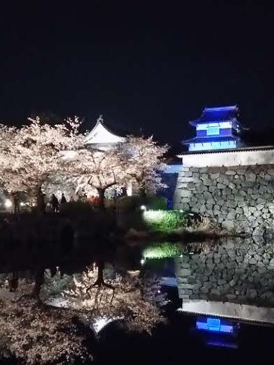 [相片1]这是福冈市的福冈城遗址和樱花的照片。 倒映在城墙、城墙和灯饰上的樱花让您感受到日本的春天。