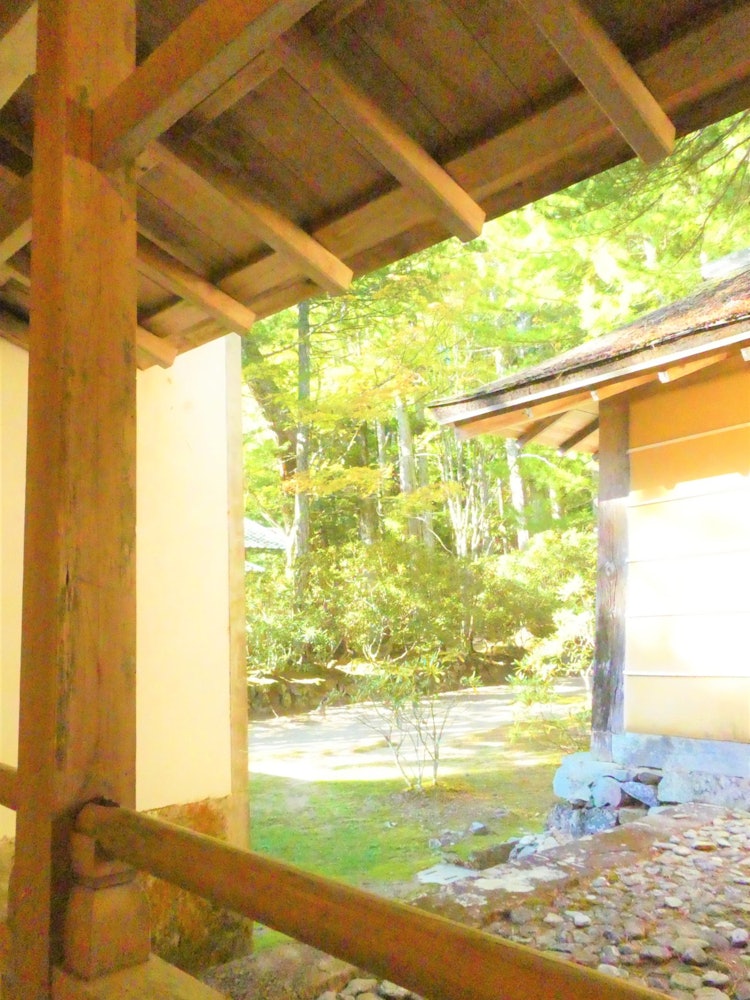 [Image1]It is the garden of Koyasan Kongobuji Temple that I went to on a trip.It was beautiful with nice wea