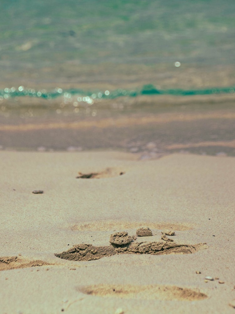 [画像1]春の面影、淡い海に白い砂浜。遠い過去を思い出しながら、砂浜の足跡を噛みしめる。