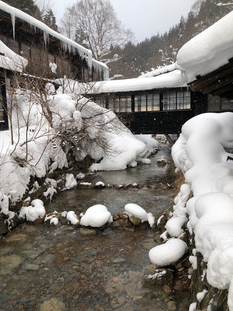 [Image1]I want everyone to go. It was a hot spring in the middle of winter, which was really, really good. I