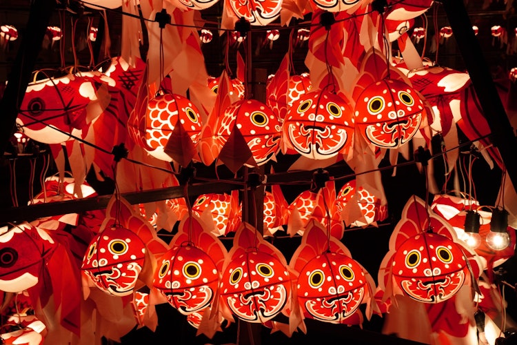 [相片1]這是山口縣柳井市的「柳井金魚燈節」。祭典也處於最後階段。 秋風中，許多金魚歡迎你。（攝于2023年8月29日）