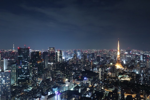 [Image1]Roppongi Hills Observatory Tokyo City View