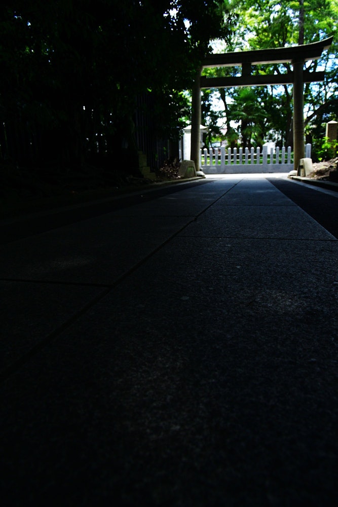 [相片1]在福井县敦贺市的Kehi神宫。我从阴影中的区域拍摄了这张照片，以使后面的夏日阳光坚持不懈。