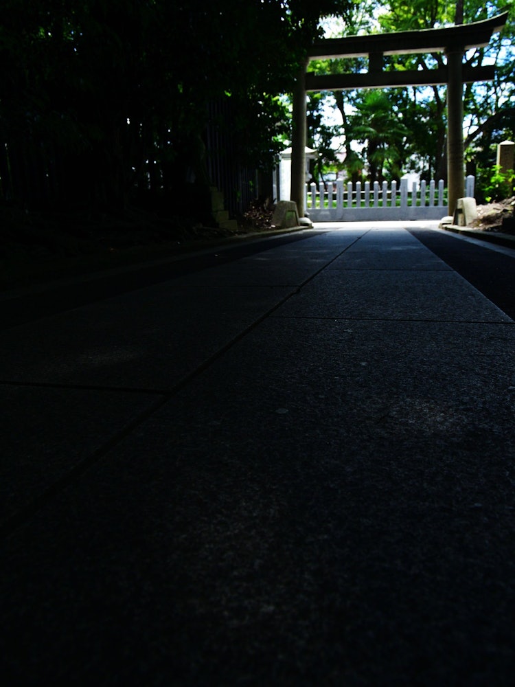[画像1]福井県敦賀市 気比神宮にて。奥側の夏の日差しを主張させるために影になった境内から撮りました。