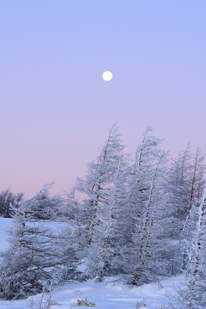 [이미지1]보름달은 동이 트기 전 마법의 시간에 빛나고 있었습니다.나는 내 앞의 안개 낀 얼음과 함께 셔터를 눌렀다.장소명:나가노현