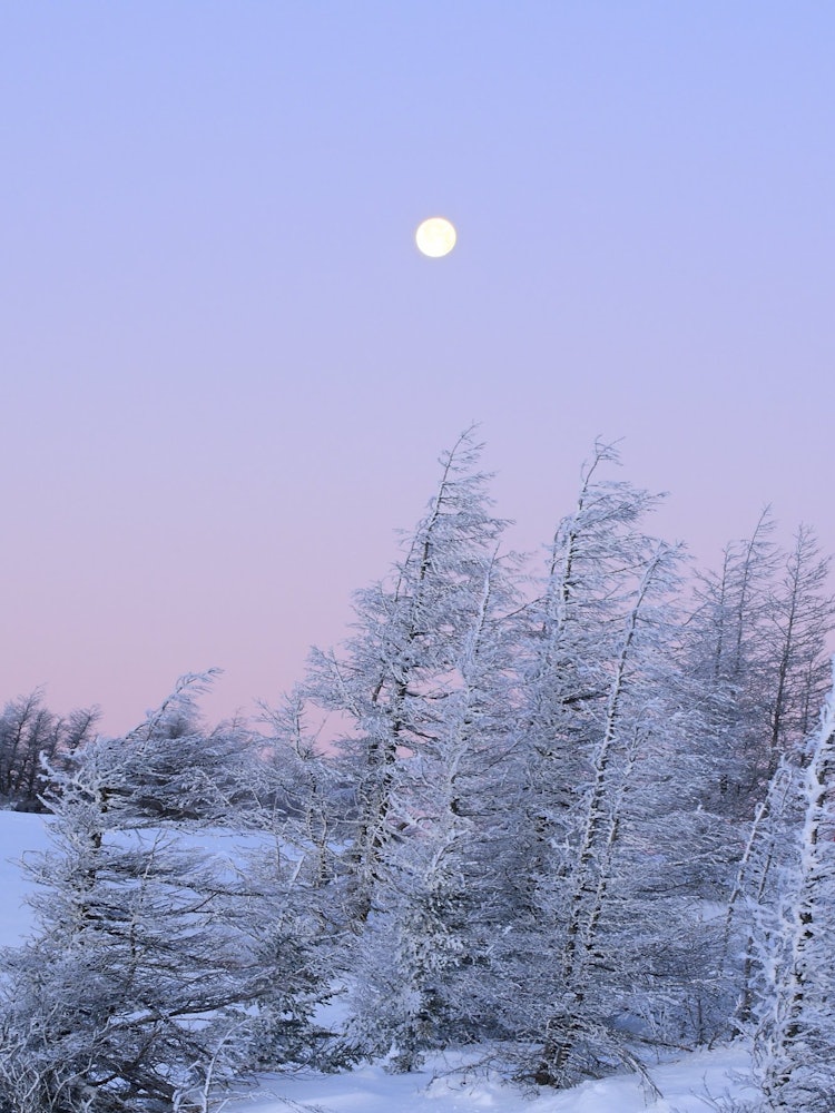 [相片1]滿月在黎明前的神奇時刻閃耀。我按下快門，與面前的霧冰一起。地點名稱：長野