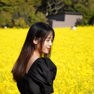 [画像1]福岡市能古島の菜の花畠はこじんしょゆうの広大な畠で、特に女性にはインスタ映えします。