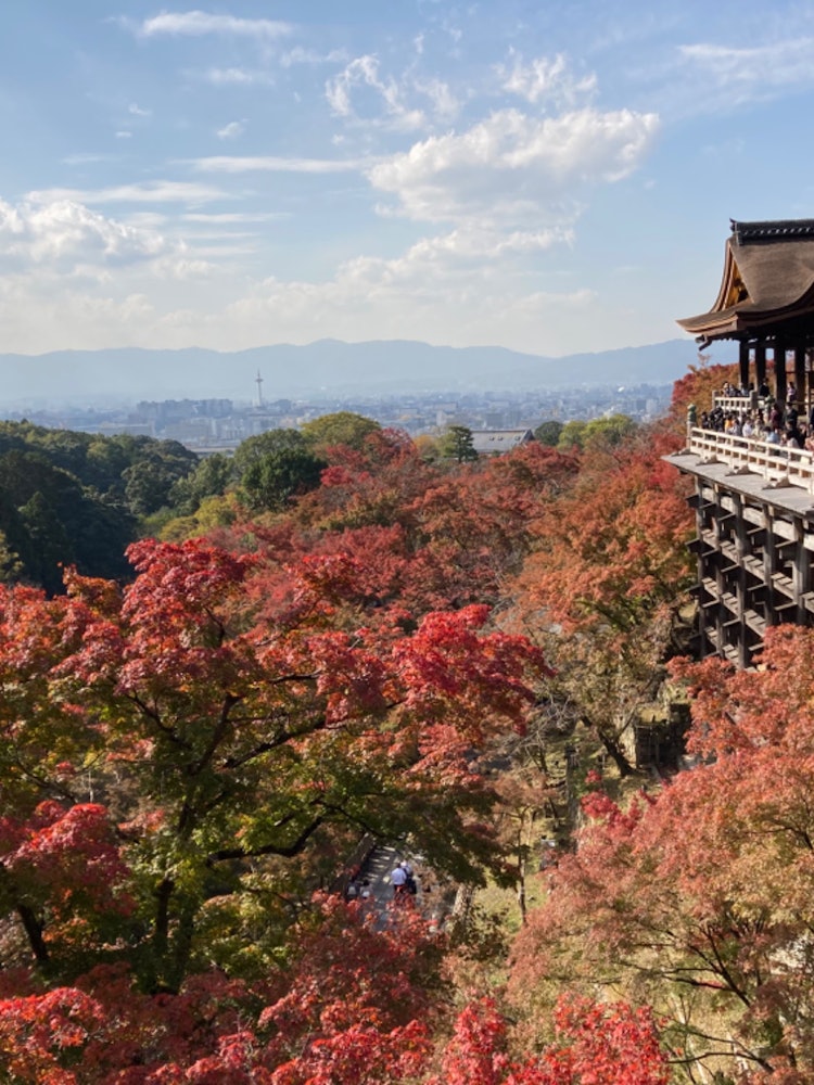 [Image1]#Nature#Photo ContestThis is Kiyomizu-dera Temple in KyotoThere were a few people, but I was able to