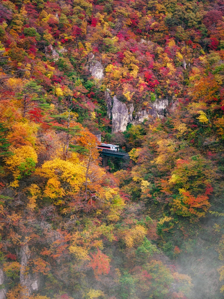 [相片1]鳴子峽谷是宮城縣著名的紅葉景點。當天多雲，但對比很美，霧給人一種很好的味道。
