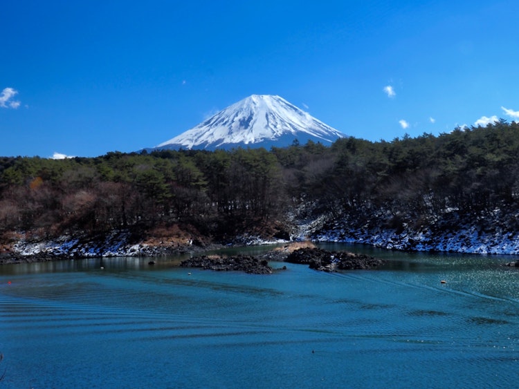 [画像1]3月3日11時頃の西湖から富士山眺望湖面の緑、溶岩の黒、富士山の雪、晴天の空自然色の美しい彩りに感動しました♪