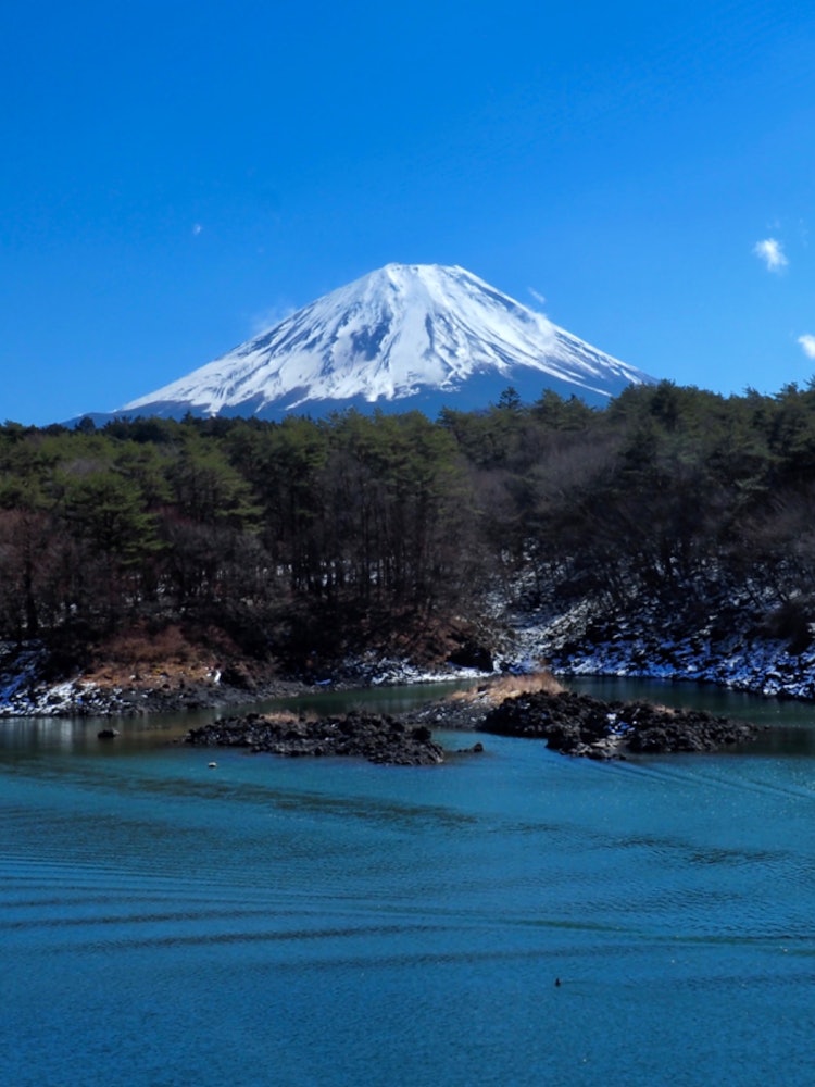 [Image1]View of Mt. Fuji from West Lake around 11 a.m. on March 3The green of the lake, the black of the lav