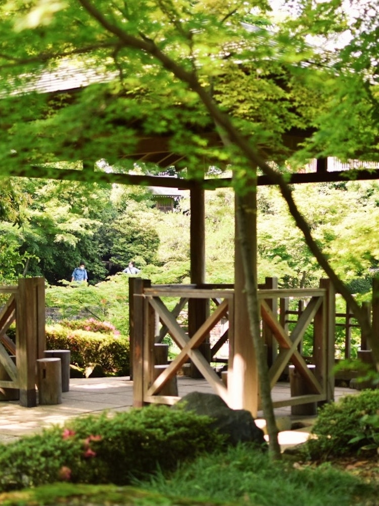 [Image1]It was a quiet resting place in a shrine surrounded by lush trees. I felt a strange atmosphere and p