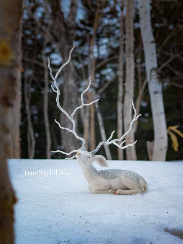[相片1]這是一件羊毛雕塑作品，神秘地將花道和盆景的線條表達與逼真的鹿融合在一起。 這是背景中日本冬季風景的照片。
