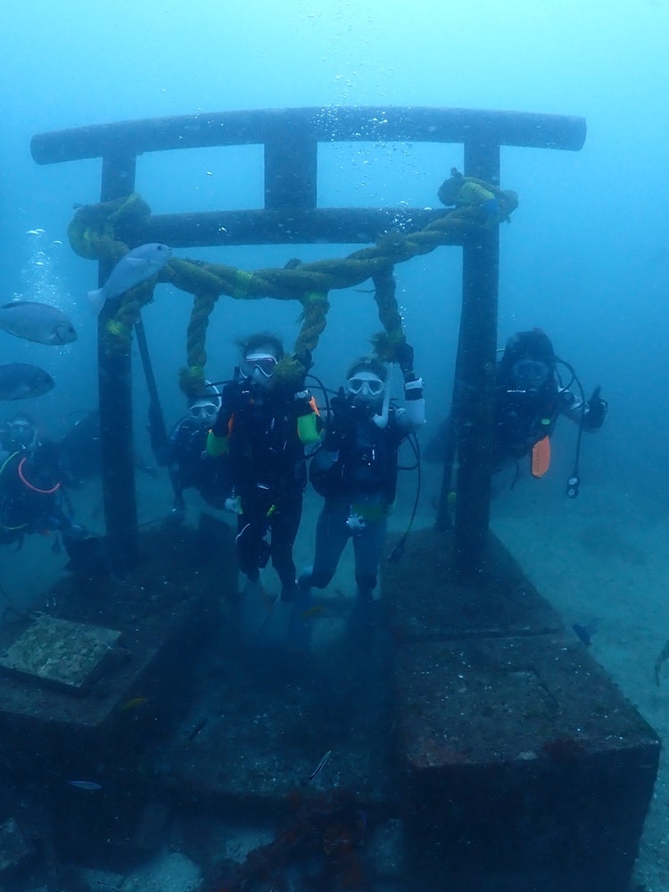 [相片1]在千葉縣名為Nazama海洋公園的地方。如果您喜歡潛水，🤿您可以在日本的鳥居口獲得寶貴的水下潛水體驗！