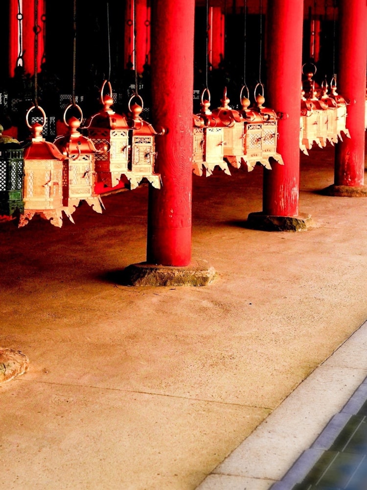 [Image1]The color of the wall pillars of the Kasuga Taisha Shrine is very bright and bright. A whole row of 