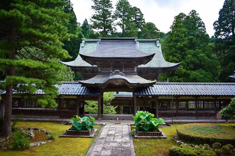 [相片1]福井的永平寺是探索自然美景以及寺庙或神社的好地方。神社区域是如此宁静，以至于我们的思想和灵魂都可以自然而然地感受到它。这里也是用药的好地方。我真的很喜欢这个地方的风景秀丽。