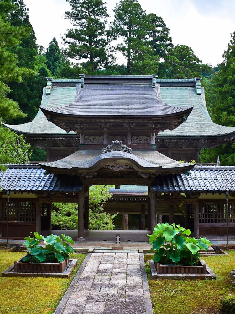 [Image1]Eiheiji temple in Fukui is a great place to explore the natural beauty along with the temple or shri