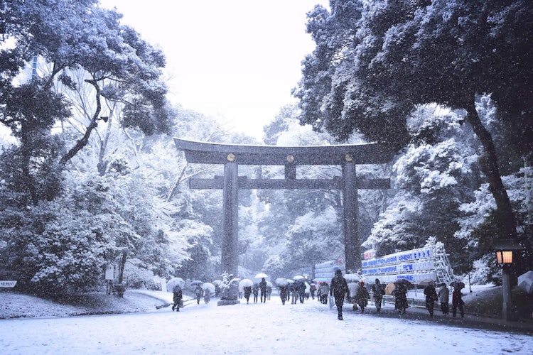 [相片1]让我们在这个炎热的夏日感受寒冷。那是去年冬天东京的一个下雪天。明治神宫的鸟居大门在雪白的包围下显得非常漂亮。东京之行的美好旅行回忆。