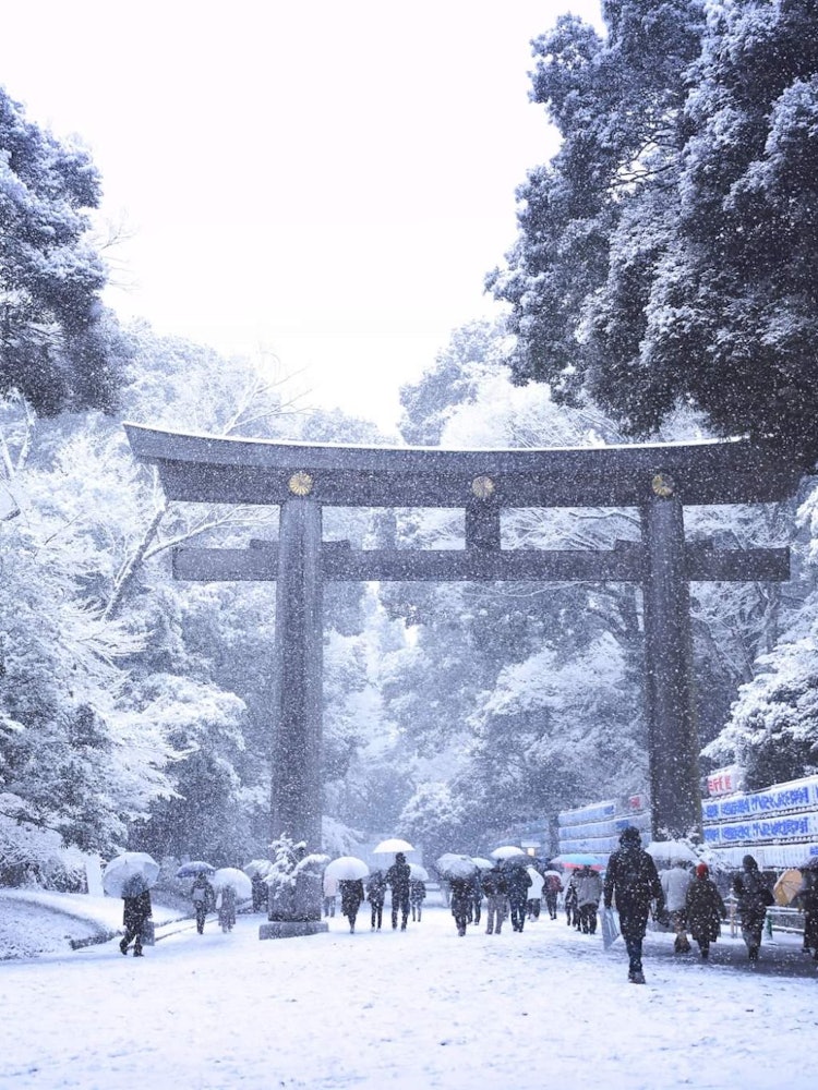 [Image1]Lets feel the cold on this hot summer days. It was a snowy day in Tokyo in the last winter. The big 