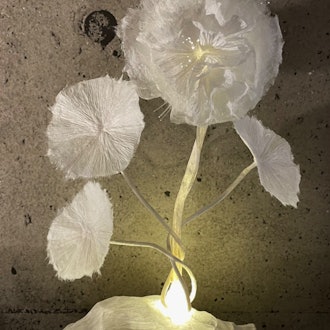 [相片1]“日本紙的花朵”和紙由長纖維纏繞而成，撕裂時細膩、蒼白、短暫且可愛。為了可以看穿而製作的和紙被完成為光的物件。我們正在代官山的畫廊藝術高峰舉行的「紙藝術展」上展出。這是一個畫廊，您可以欣賞獨特藝術家的
