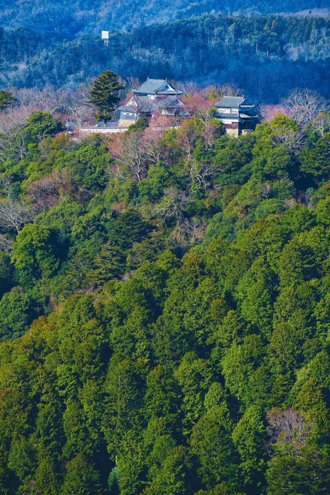 [画像1]天空の城高松集城は天空の城の一つ。その山の頂上にありました。城の展望台からは、緑の山々のある城のこの魅力的な景色を眺めることができました。所在地:岡山県高橋市