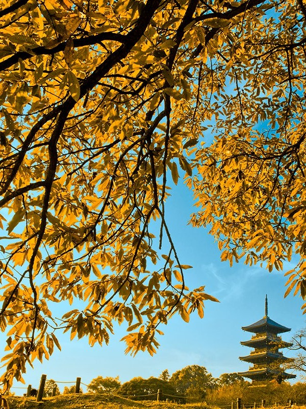 [Image1]Binchuku Branch Temple in Soja City, Okayama Prefecture. Kibiji in autumn is a beautiful collaborati