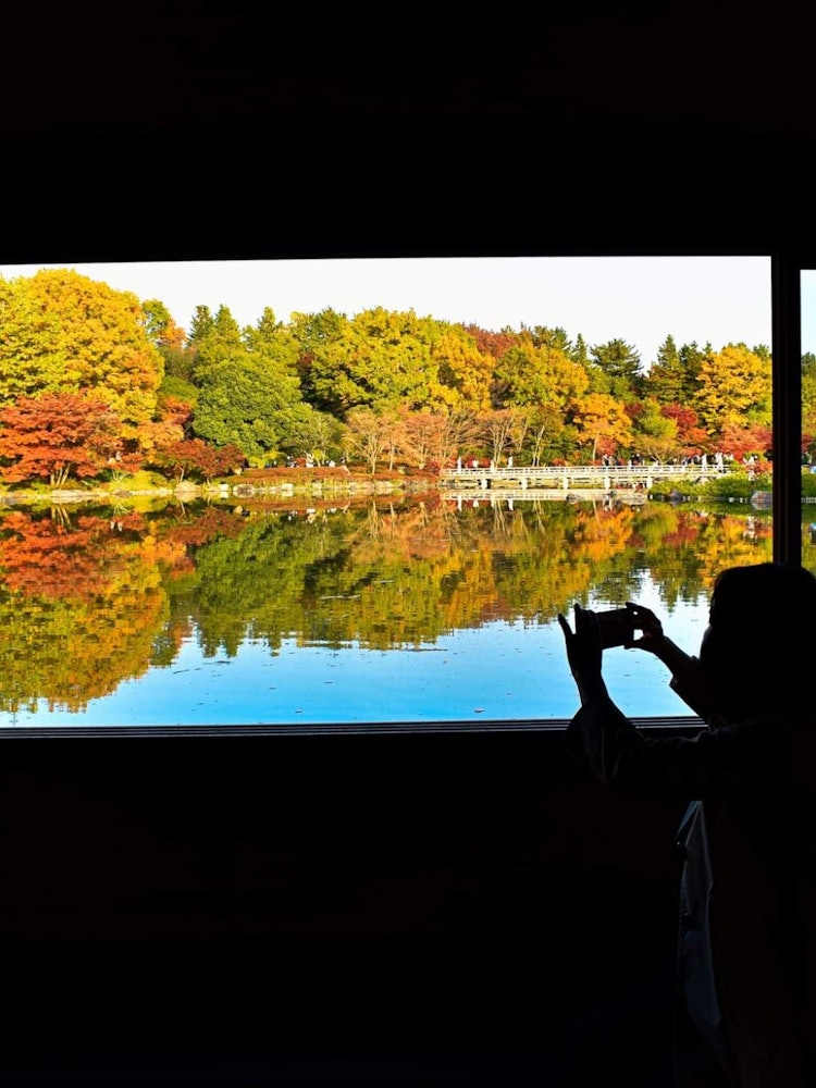 [相片1]日本各地的秋季观赏景点很多，东京也不例外。实际上，在东京有很多秋季观赏景点。在东京，我最喜欢的地方之一是昭和纪念公园。这里的秋色非常绚丽，水彩上的反射使它更好。几乎每个人都从这个地方拍照。在这张照片中