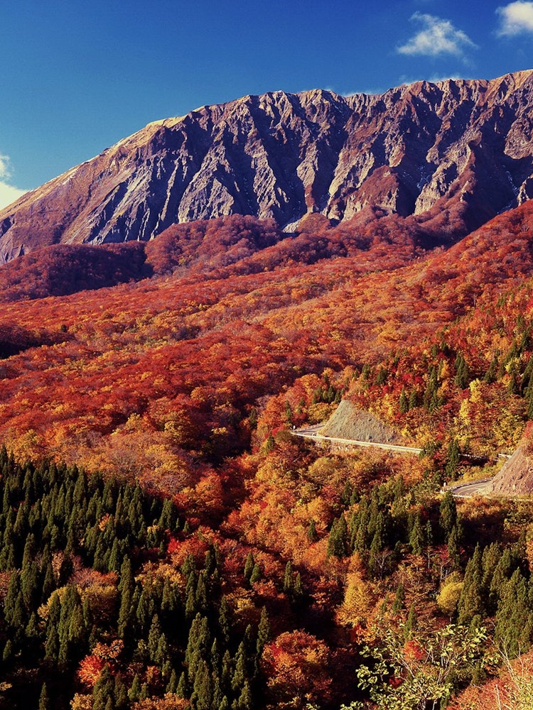 [Image1]It is a large mountain in Tottori Prefecture, with an altitude of 1729 m. The autumn leaves spreadin