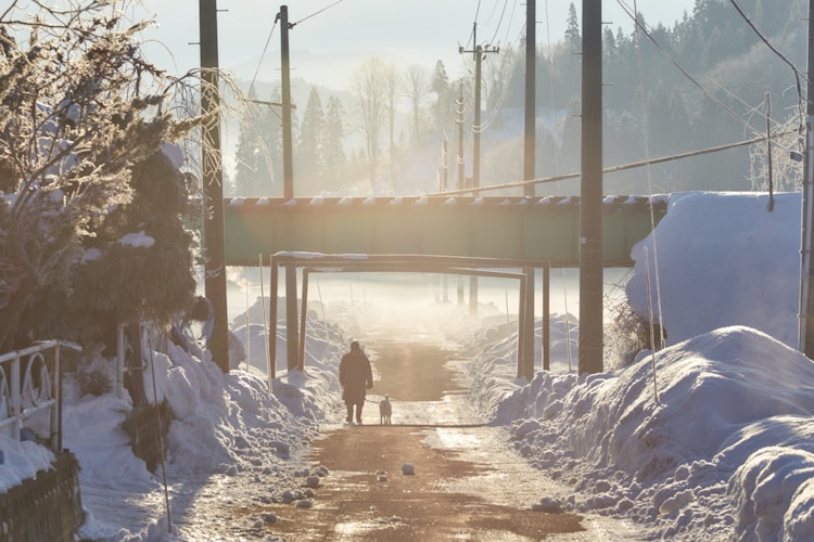 [相片1]秋田縣北市的清晨。那是一個寒冷的早晨，溫度低至-10°C，但多虧了這一點，空氣非常清新。無論你去多少次，你都會被鄉村特有的平靜氛圍所治癒。