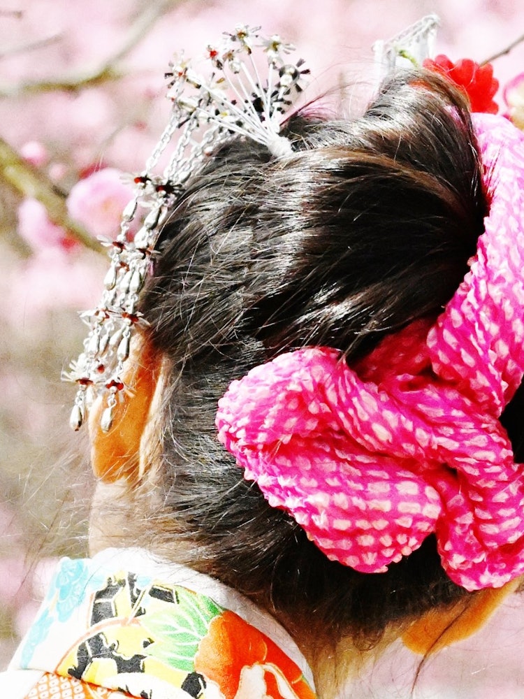 [画像1]撮影場所：愛媛県今治市桜井の綱敷天満宮満開の梅の花と娘さん