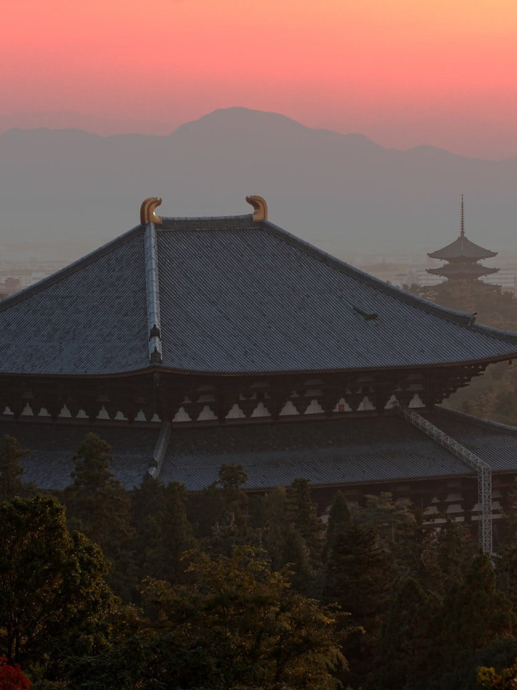 [Image1]The Great Buddha Hall Todaiji Temple Nara City. The long Todaiji Temple dyed in the sunset is truly 