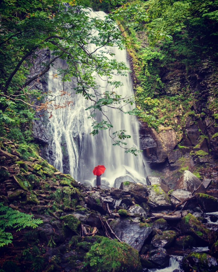 [Image1]Onogawa Fudo Falls is a large waterfall with a drop of 25 meters. 30 minutes from the parking lot in