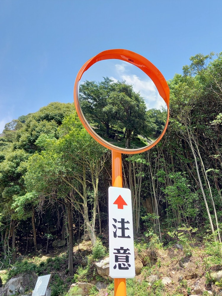 [Image1]Summer was also reflected on the guardrail. Shot near Narutaki in Yamaguchi City.