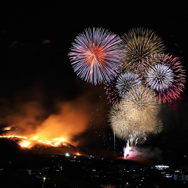 [이미지1]옛 수도 나라의 이른 봄을 알리는 전통 행사입니다. 산 전체가 불타고 밤하늘을 뜨겁게 달구는 광경은 압권입니다.