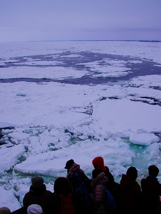 [Image1]I went to see the drift ice in Abashiri. Last year it was perfectly iced in mid-February