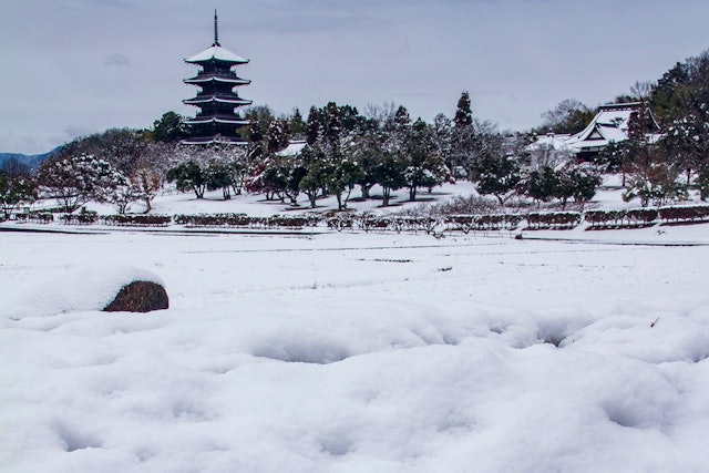 [Image1]Binchuku Branch Temple in Soja City, Okayama Prefecture. Does it snow in winter about once every fiv