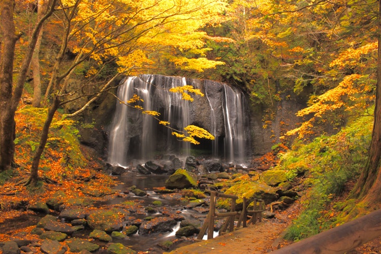 [Image1]It is Tatsuzawa Fudo Falls in Aizu Inawashiro, Fukushima Prefecture. In the summer, it is cool with 