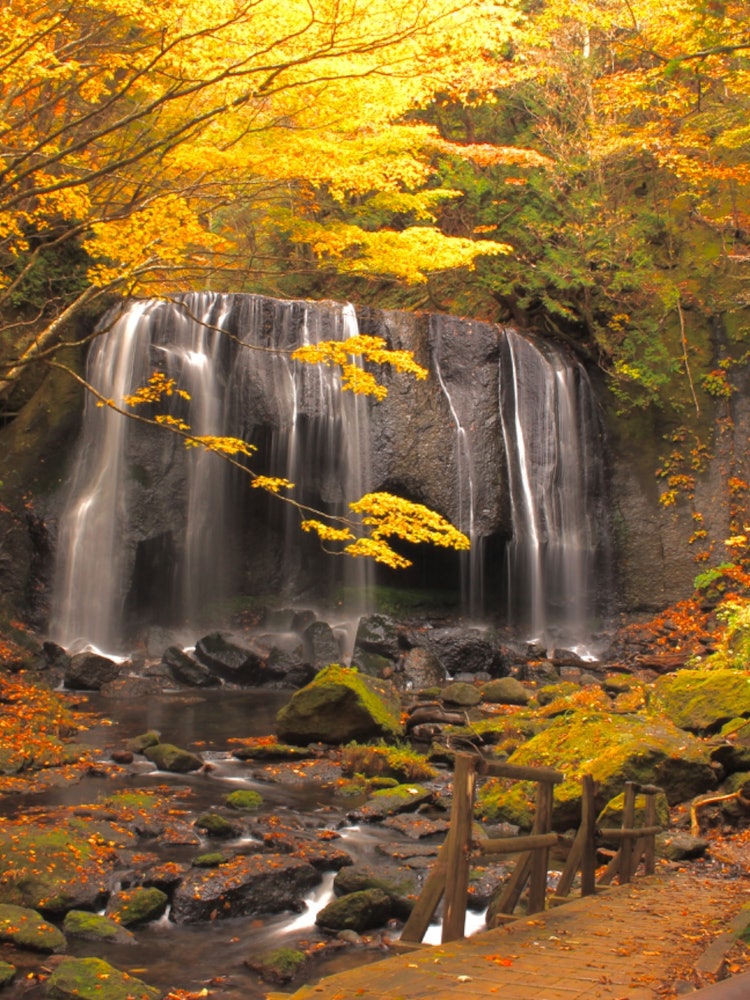 [画像1]福島県会津猪苗代の達沢不動滝です。 夏はマイナスイオンで涼しく、秋は紅葉🍁冬は巨大な氷柱が圧巻です