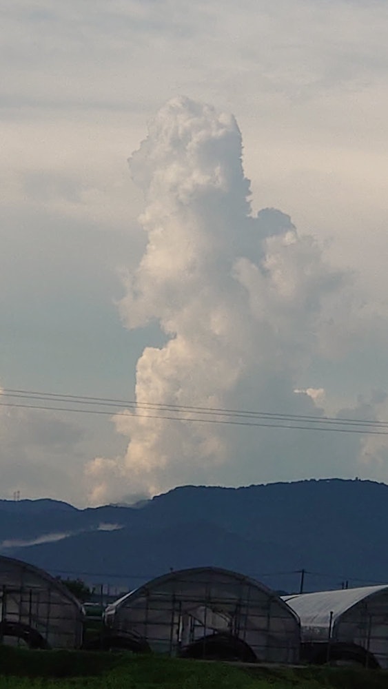 [이미지1]구름.구름의 고질라 등장!