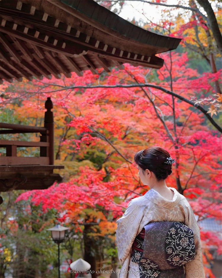 [画像1]「Autumn color of Okubo-ji」location： 香川県さぬき市・大窪寺＊紅葉の名所として知られている大窪寺。 秋の境内は楓や銀杏が色づき、風情ある静かな佇まいに彩りを添えます。