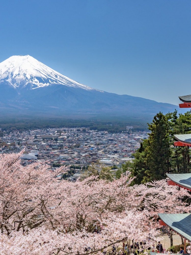 [画像1]山梨県、新倉山浅間公園より、定番の構図で撮影しました。 非常に良い天気で、富士山がはっきりと見えました。 海外からのお客さんが非常に多く、日本を代表するスポットであることを認識させられました。